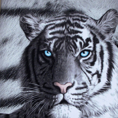 Just Home Set of 3 Printed Blue Eyes Stripes Tiger Wall Canvas V442-LDE-MISC-BLUEEYESSTRIPES-BLACK-SQ