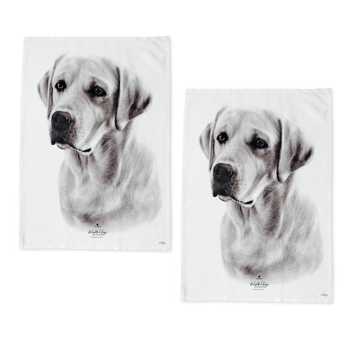 Set of 2 Delightful Dogs Cotton Kitchen Tea Towels 50 x 70 cm Labrador V442-LDE-TEAT-LABRADORSETOF2-WHITE-RE