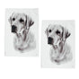 Set of 2 Delightful Dogs Cotton Kitchen Tea Towels 50 x 70 cm Labrador V442-LDE-TEAT-LABRADORSETOF2-WHITE-RE