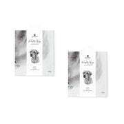 Set of 2 Delightful Dogs Cotton Kitchen Tea Towels 50 x 70 cm Labrador V442-LDE-TEAT-LABRADORSETOF2-WHITE-RE