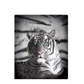 Just Home Blue Eyes Stripes Tiger Polar Fleece Throw Rug V442-LDE-THROW-BLUEEYESSTRIPES-BLACK-RE