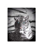 Just Home Blue Eyes Stripes Tiger Polar Fleece Throw Rug V442-LDE-THROW-BLUEEYESSTRIPES-BLACK-RE