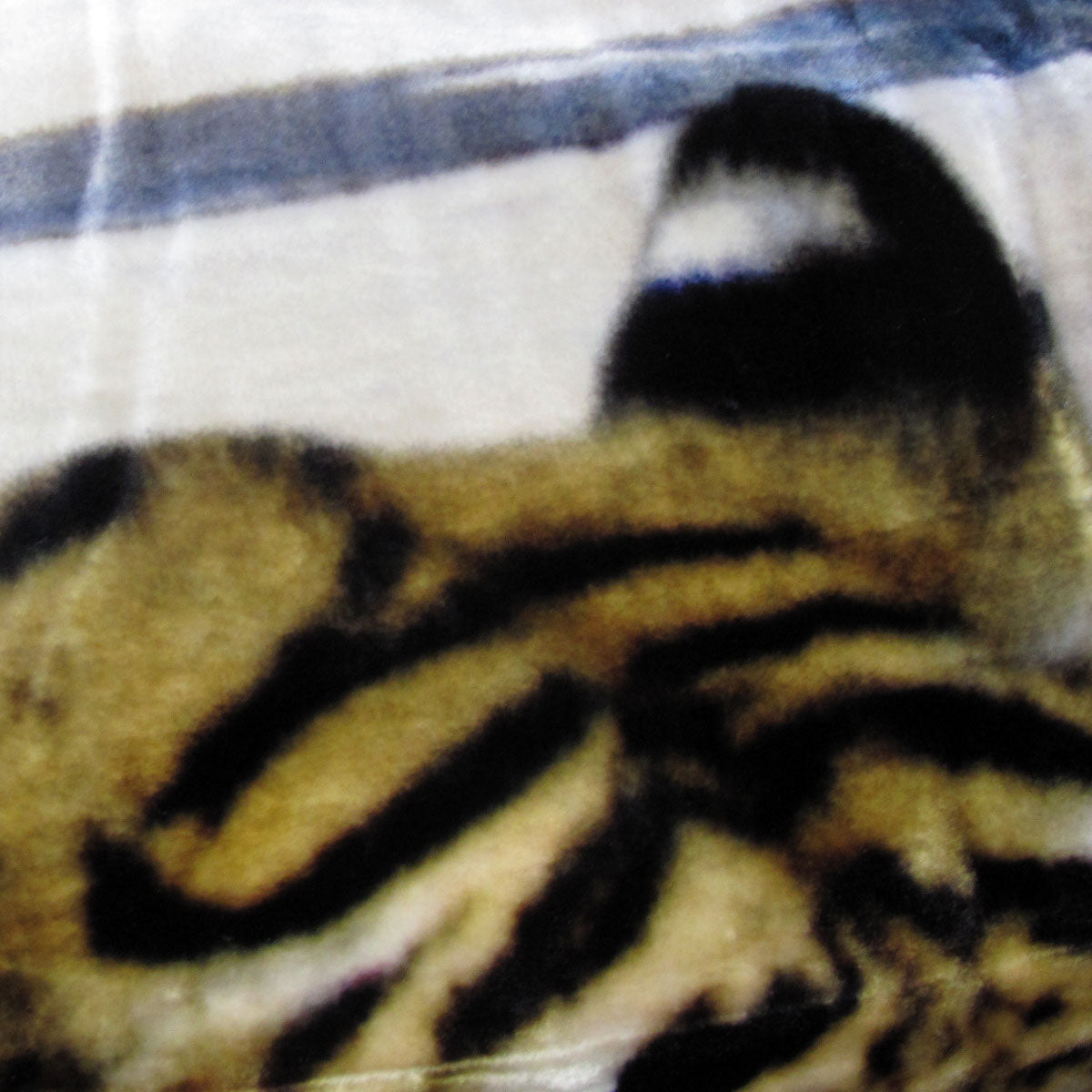 800GSM Luxury Reversible Animal Pattern Mink Blanket Queen 200 x 240 cm Three Tigers Blue V442-LYL-BLANKET-2025THREETIGERS-BLUE-QS