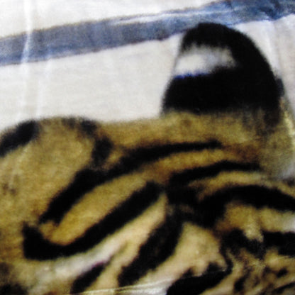 800GSM Luxury Reversible Animal Pattern Mink Blanket Queen 200 x 240 cm Three Tigers Blue V442-LYL-BLANKET-2025THREETIGERS-BLUE-QS