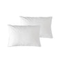 At Home Homewares Pack of 2 Standard Machine Washable Feather Pillows 45 x 70 +13 cm V442-STT-PILLOW-TWINFEATHER-WHITE-ST