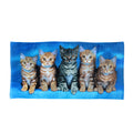 Curious Kittens Cotton Beach Towel V442-WAM-TOWEL-CURIOUSKITTENS-BLUE-RE