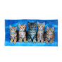 Curious Kittens Cotton Beach Towel V442-WAM-TOWEL-CURIOUSKITTENS-BLUE-RE