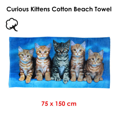 Curious Kittens Cotton Beach Towel V442-WAM-TOWEL-CURIOUSKITTENS-BLUE-RE