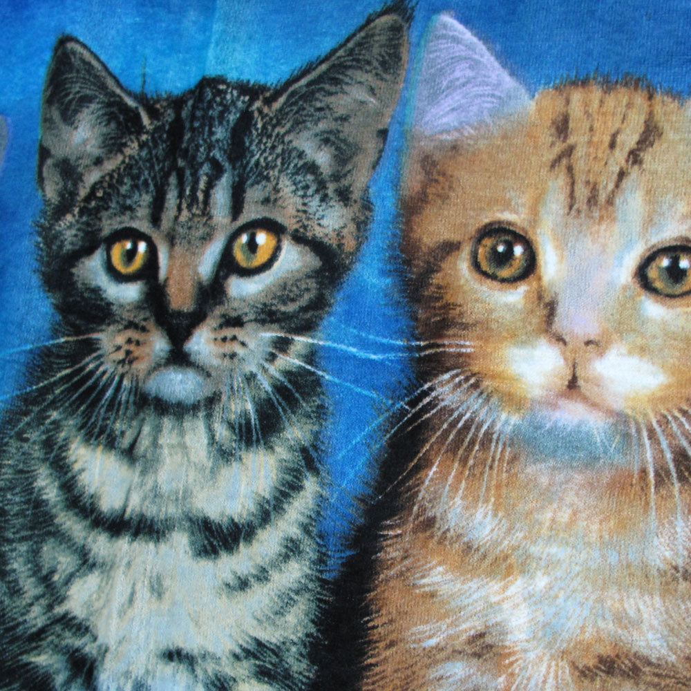 Curious Kittens Cotton Beach Towel V442-WAM-TOWEL-CURIOUSKITTENS-BLUE-RE