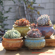 4/5/6 Pots Set Ceramic Clay Pottery Pots Succulent Flower Planter Draining Hole(Style 01# 4 Pots Set) V462-HG-108-01