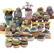 4/5/6 Pots Set Ceramic Clay Pottery Pots Succulent Flower Planter Draining Hole(Style 01# 4 Pots Set) V462-HG-108-01