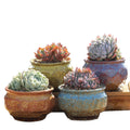 4/5/6 Pots Set Ceramic Clay Pottery Pots Succulent Flower Planter Draining Hole(Style 01# 4 Pots Set) V462-HG-108-01