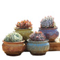4/5/6 Pots Set Ceramic Clay Pottery Pots Succulent Flower Planter Draining Hole(Style 01# 4 Pots Set) V462-HG-108-01