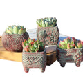4/5/6 Pots Set Ceramic Clay Pottery Pots Succulent Flower Planter Draining Hole(Style 02# 4 Pots Set) V462-HG-108-02