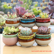 4/5/6 Pots Set Ceramic Clay Pottery Pots Succulent Flower Planter Draining Hole(Style 05# 6 Pots Set) V462-HG-108-05