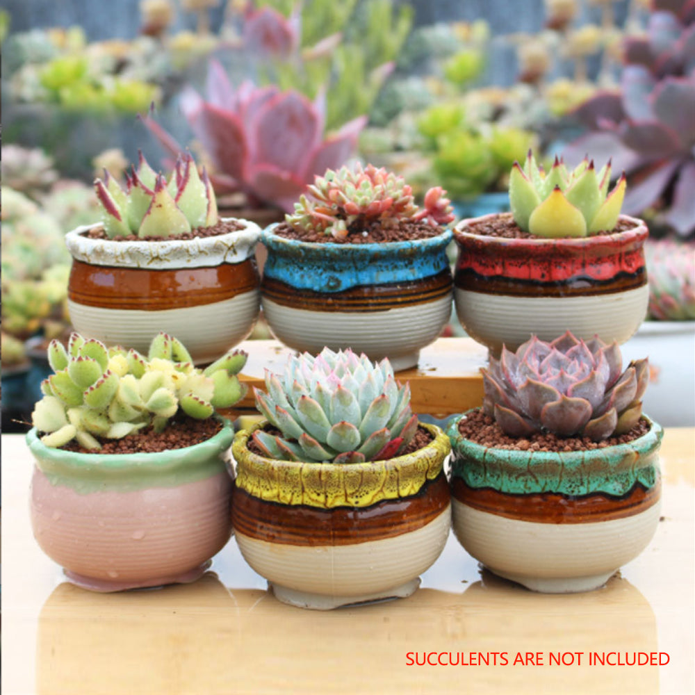 4/5/6 Pots Set Ceramic Clay Pottery Pots Succulent Flower Planter Draining Hole(Style 05# 6 Pots Set) V462-HG-108-05