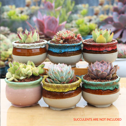 4/5/6 Pots Set Ceramic Clay Pottery Pots Succulent Flower Planter Draining Hole(Style 05# 6 Pots Set) V462-HG-108-05