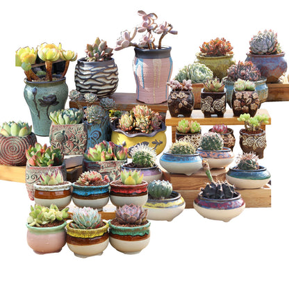 4/5/6 Pots Set Ceramic Clay Pottery Pots Succulent Flower Planter Draining Hole(Style 05# 6 Pots Set) V462-HG-108-05