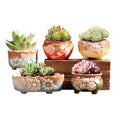 Set of 5 Succulent Plant Pots Flower Patterned with Drainage Holes V462-HG-174-01