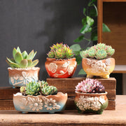 Set of 5 Succulent Plant Pots Flower Patterned with Drainage Holes V462-HG-174-01