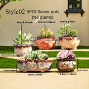 Set of 5 Succulent Plant Pots Flower Patterned with Drainage Holes V462-HG-174-01