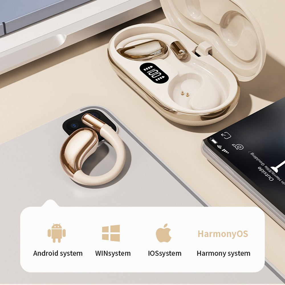 Wireless Earhook Sports Headphones Open-Ear Bluetooth 5.4 Sweat-Resistant Earphones (Black)