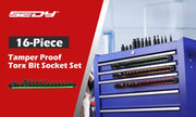 16-Piece Torx Star Bit Socket Set Magnetic Socket Rail Organizer T8-T60 Adapters V465-84081