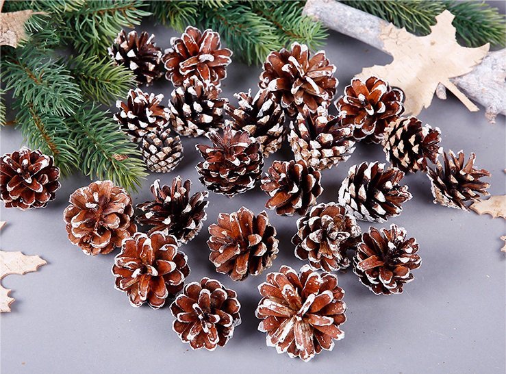 18 Christmas Natural Pine Cones Xmas Tree Hanging Home Decoration Ornament Gifts, 18x Natural w Snow Covered V474-227788