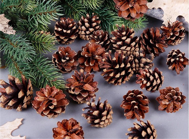 18 Christmas Natural Pine Cones Xmas Tree Hanging Home Decoration Ornament Gifts, 18x Natural Pinecones V474-227789