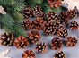 18 Christmas Natural Pine Cones Xmas Tree Hanging Home Decoration Ornament Gifts, 18x Natural Pinecones V474-227789