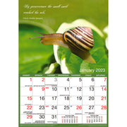 Inspirational - 2023 Rectangle Wall Calendar 16 Months Planner New Year Gift V474-544967