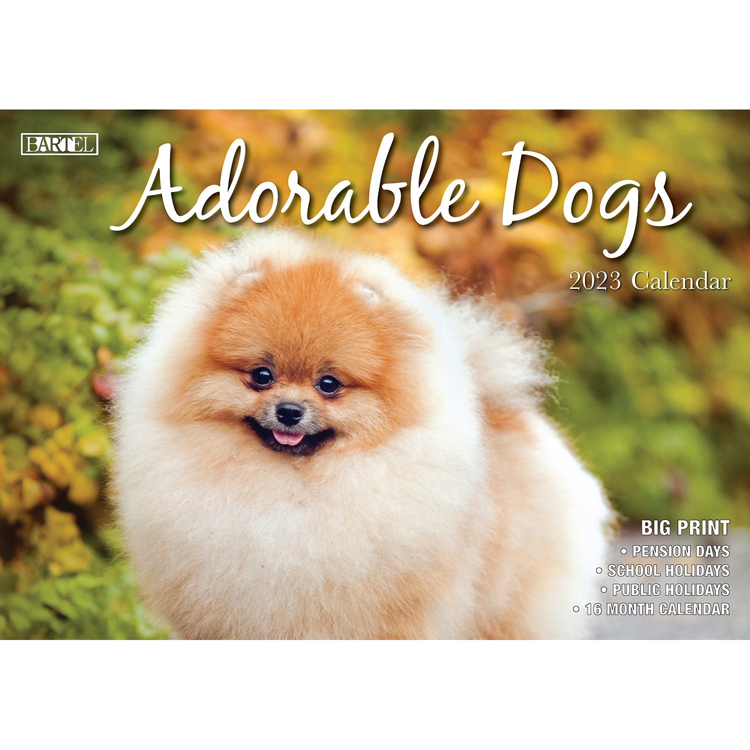 Adorable Dogs - 2023 Rectangle Wall Calendar 16 Months Planner New Year Gift V474-544968