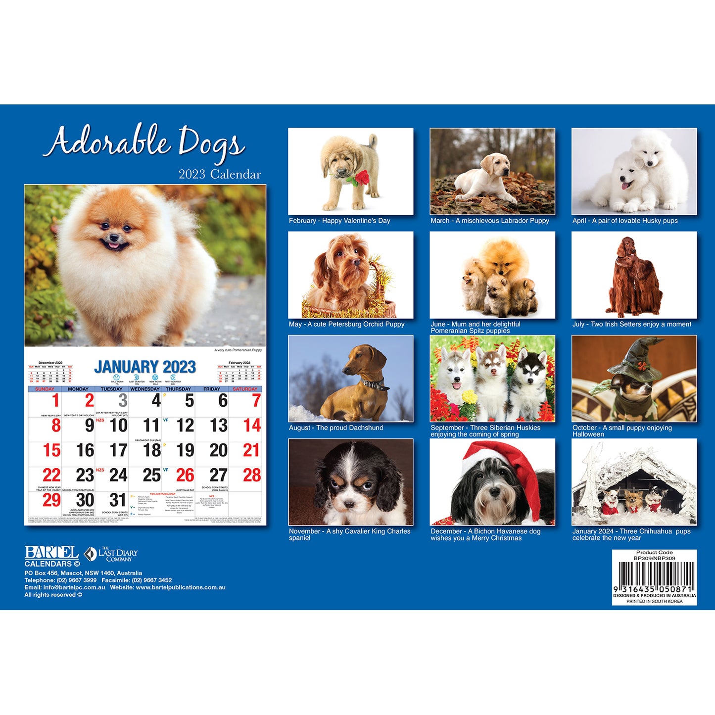 Adorable Dogs - 2023 Rectangle Wall Calendar 16 Months Planner New Year Gift V474-544968