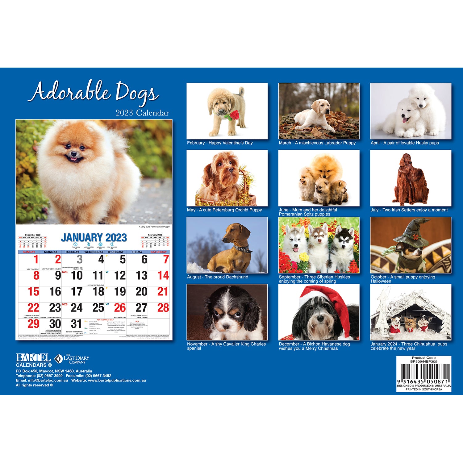 Adorable Dogs - 2023 Rectangle Wall Calendar 16 Months Planner New Year Gift V474-544968