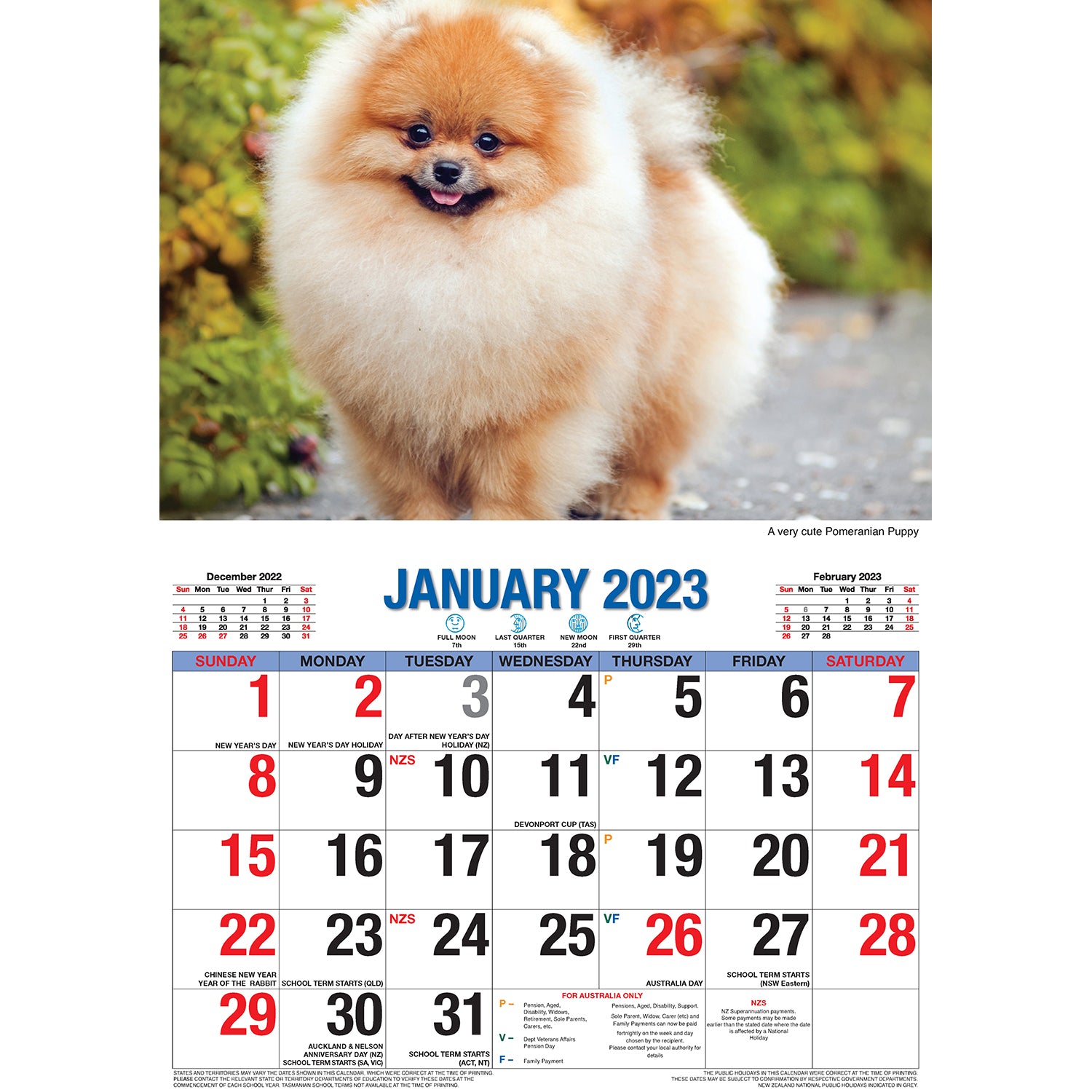 Adorable Dogs - 2023 Rectangle Wall Calendar 16 Months Planner New Year Gift V474-544968