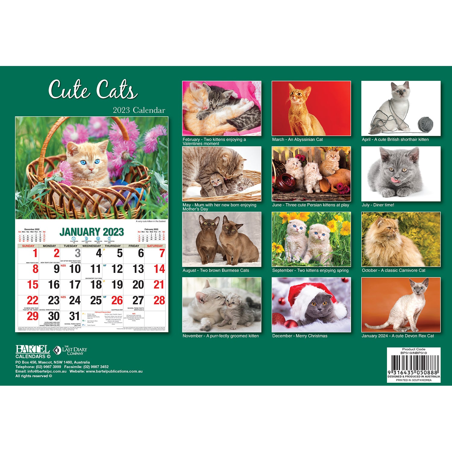 Cute Cats 2023 Rectangle Wall Calendar 16 Months Planner New Year Christmas Gift V474-544969