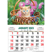 Cute Cats 2023 Rectangle Wall Calendar 16 Months Planner New Year Christmas Gift V474-544969