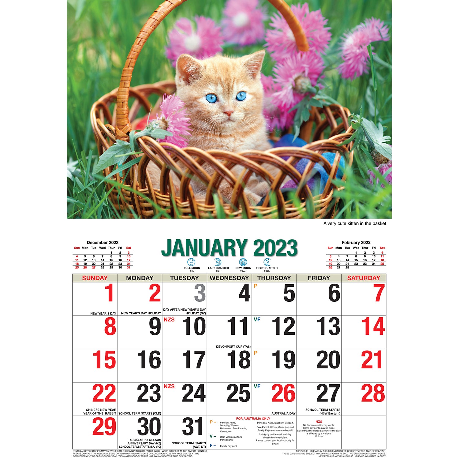 Cute Cats 2023 Rectangle Wall Calendar 16 Months Planner New Year Christmas Gift V474-544969