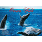 Ocean Wild - 2023 Rectangle Wall Calendar 16 Months Planner New Year Gift V474-544971