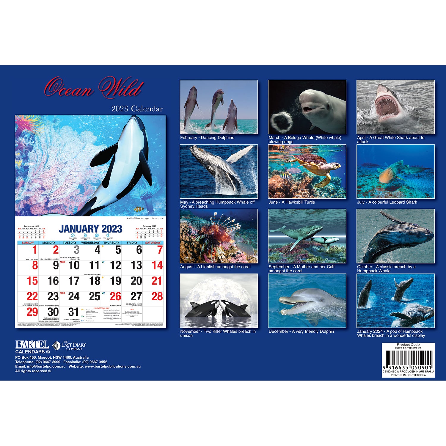 Ocean Wild - 2023 Rectangle Wall Calendar 16 Months Planner New Year Gift V474-544971