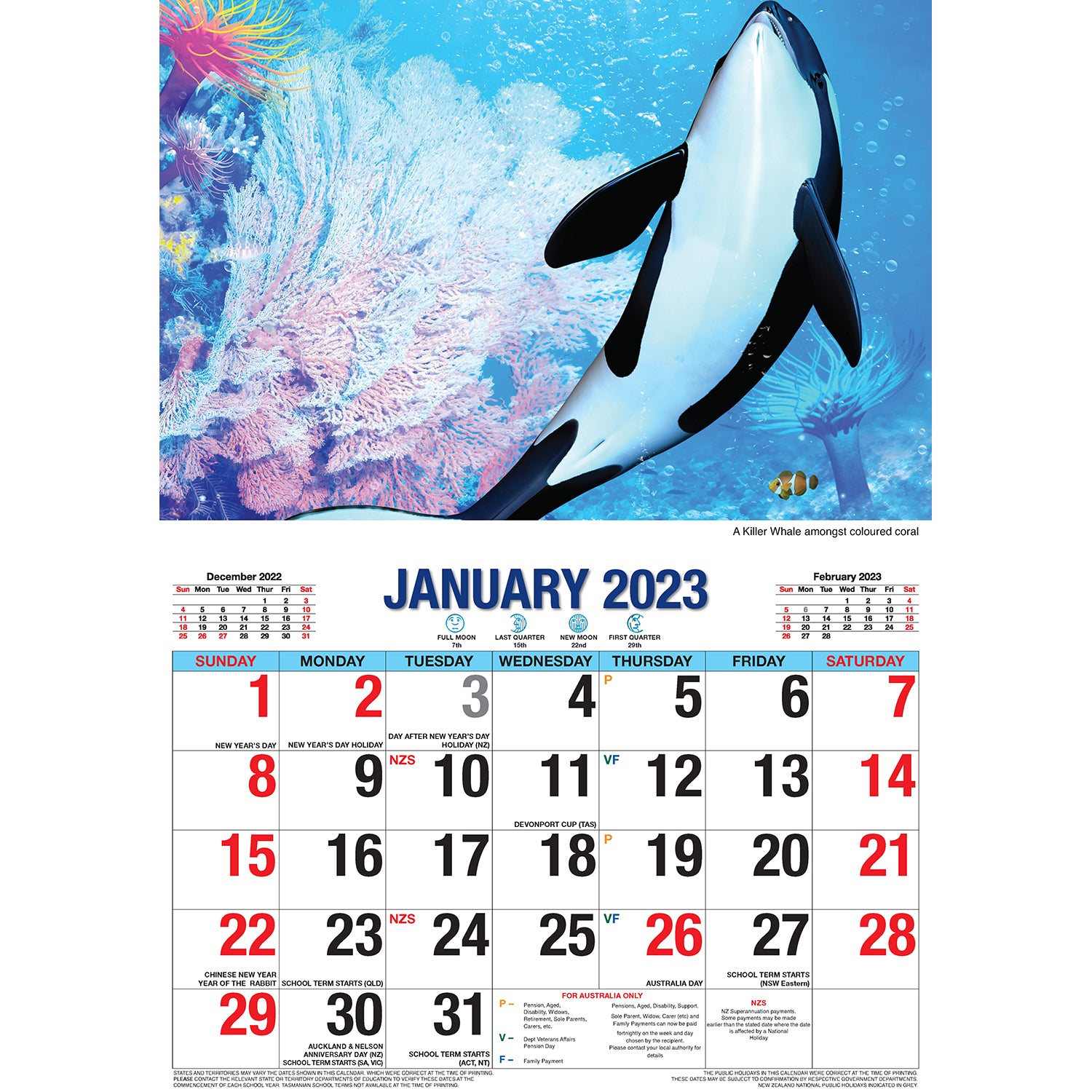 Ocean Wild - 2023 Rectangle Wall Calendar 16 Months Planner New Year Gift V474-544971