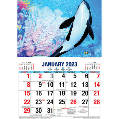 Ocean Wild - 2023 Rectangle Wall Calendar 16 Months Planner New Year Gift V474-544971