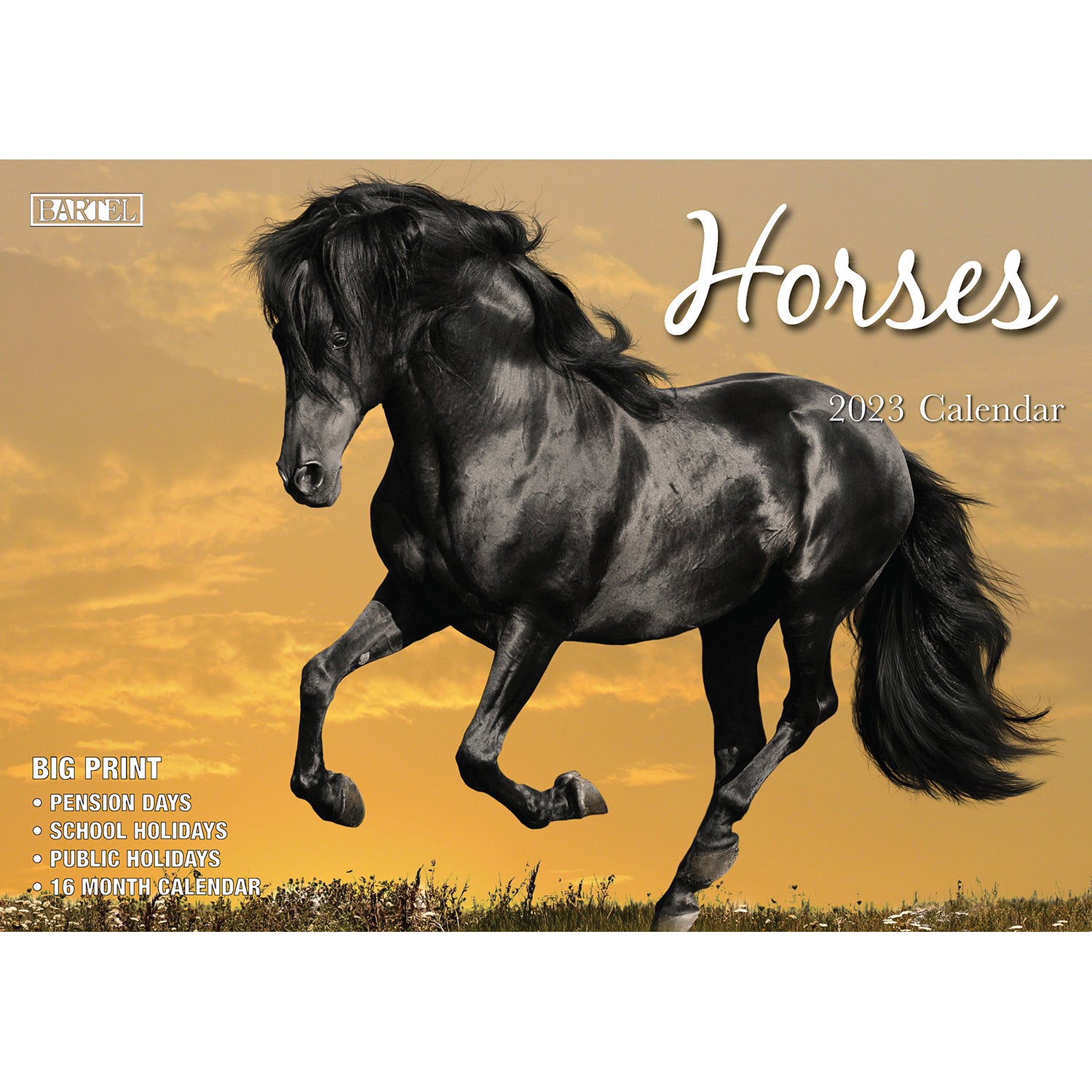 Horses - 2023 Rectangle Wall Calendar 16 Months Planner New Year Christmas Gift V474-544972