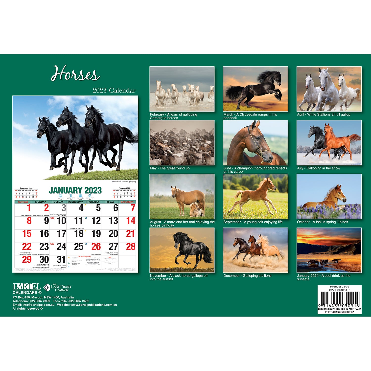 Horses - 2023 Rectangle Wall Calendar 16 Months Planner New Year Christmas Gift V474-544972