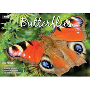 Butterflies - 2023 Rectangle Wall Calendar 16 Months Planner New Year Gift V474-544974