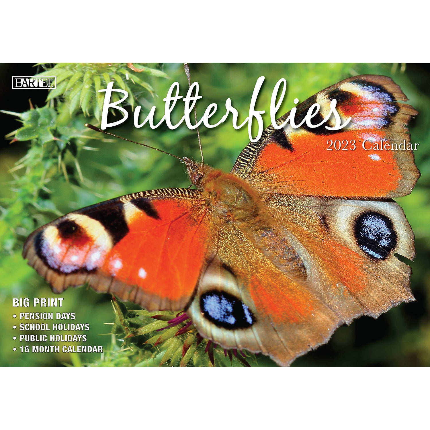 Butterflies - 2023 Rectangle Wall Calendar 16 Months Planner New Year Gift V474-544974