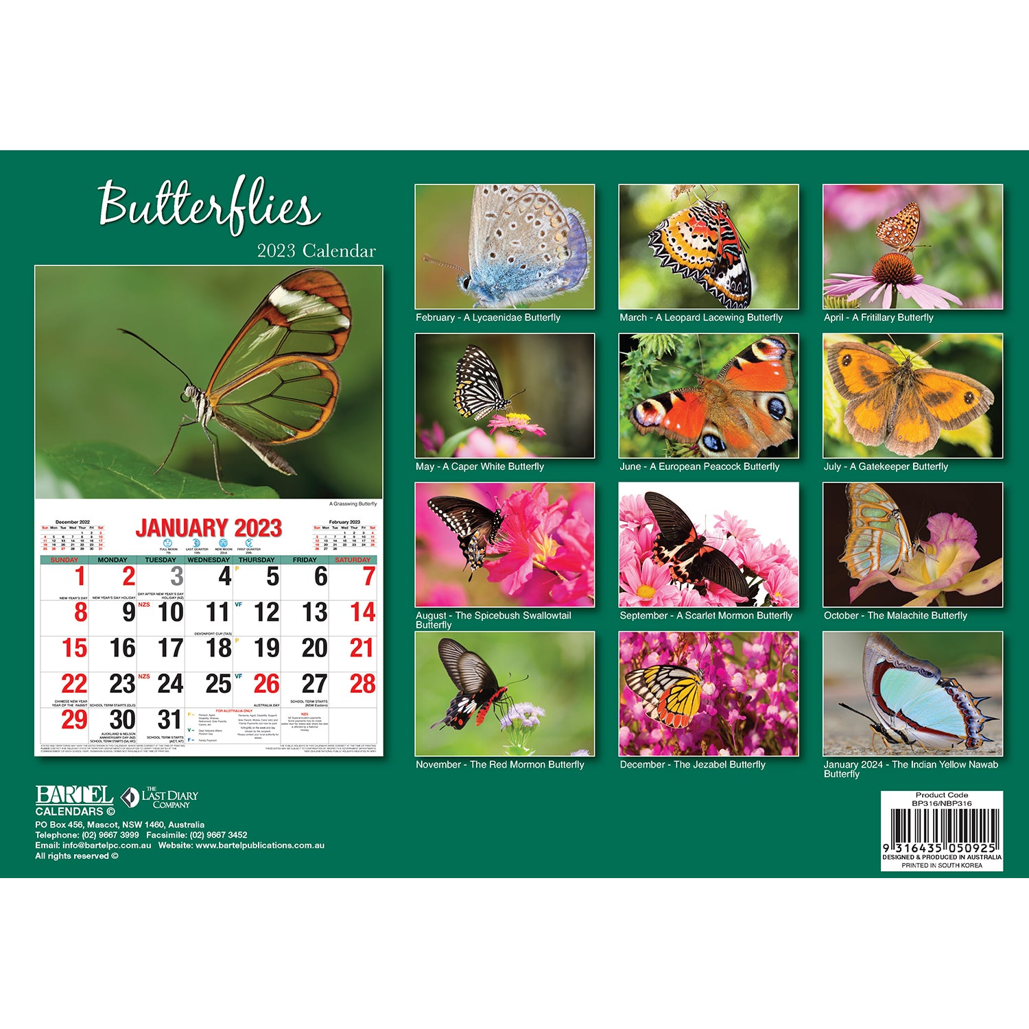 Butterflies - 2023 Rectangle Wall Calendar 16 Months Planner New Year Gift V474-544974