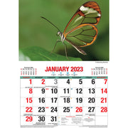 Butterflies - 2023 Rectangle Wall Calendar 16 Months Planner New Year Gift V474-544974