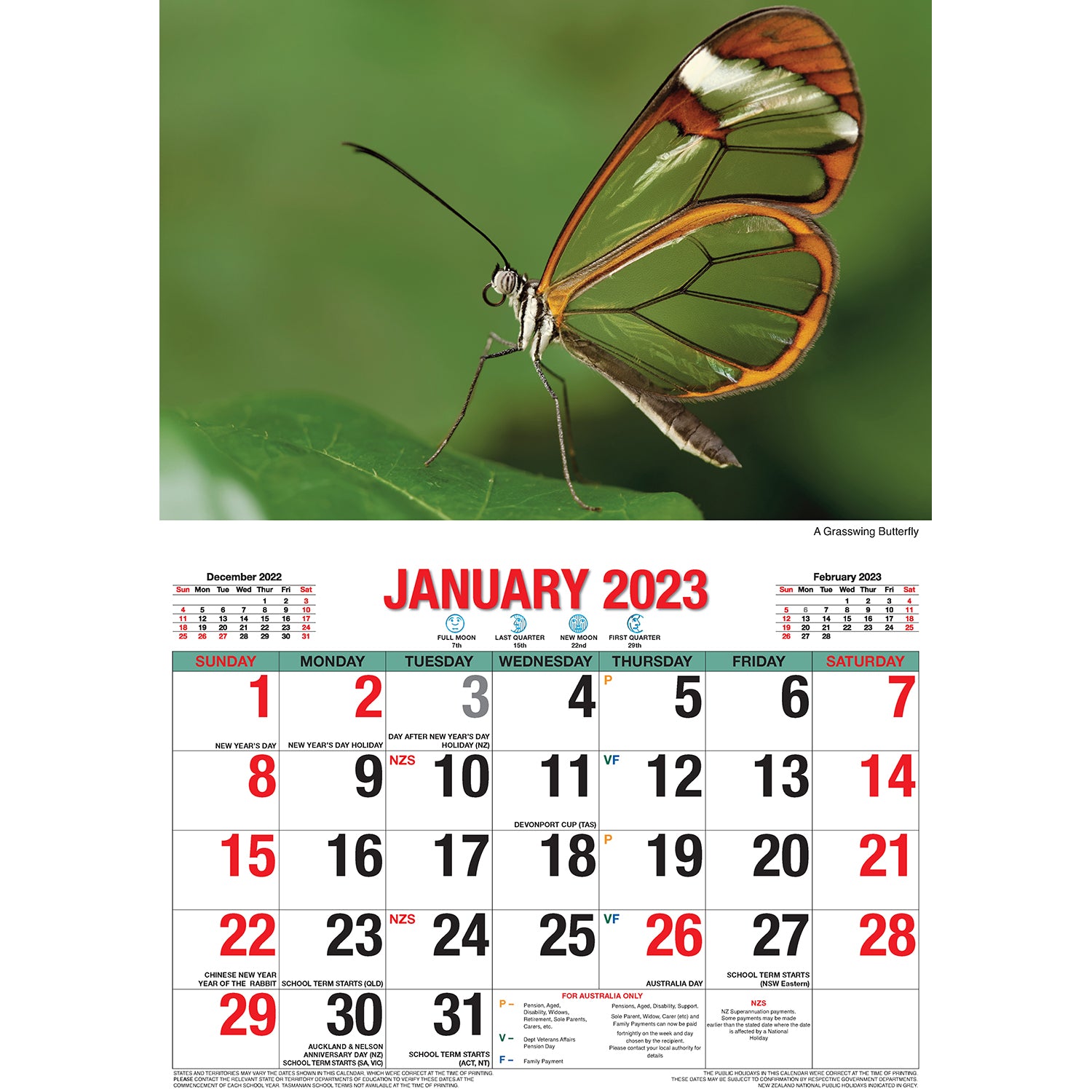 Butterflies - 2023 Rectangle Wall Calendar 16 Months Planner New Year Gift V474-544974