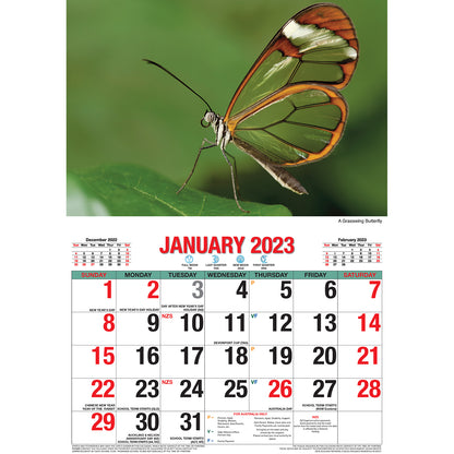 Butterflies - 2023 Rectangle Wall Calendar 16 Months Planner New Year Gift V474-544974